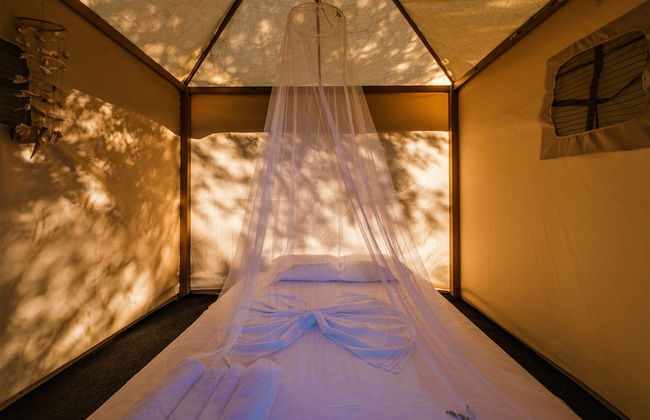 Holiday Park Tree - Foto 7