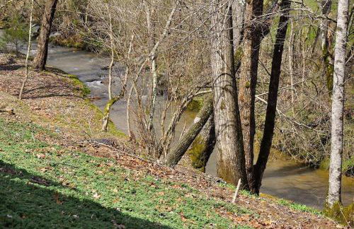 Little Heaven - Foto 46