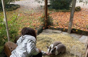 alloggio agrituristico zambon - Foto 5