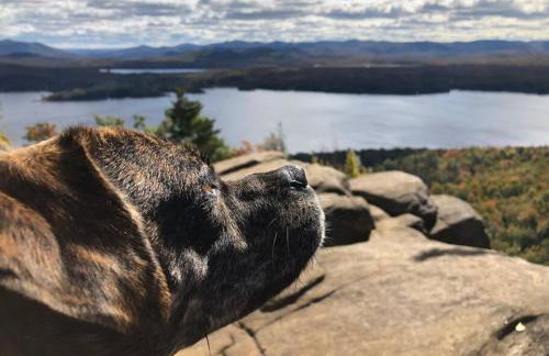 Hawkeyes Rest - Foto 9