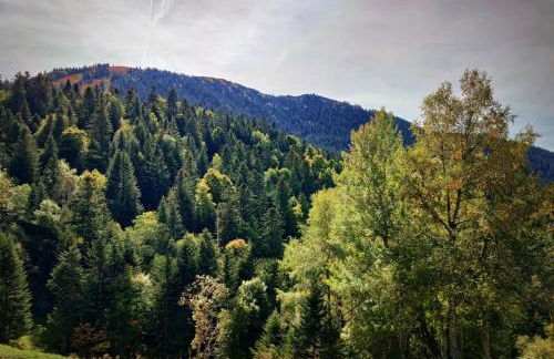 Logement 6 pers au cœur des montagnes pyrénéennes linge de maison et papier toilette non fournis - Foto 36