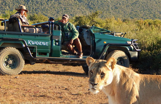 Uplands Homestead - Photo 16