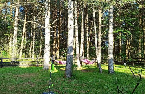 Apartment Übernachtung für einen unvergesslichen Besuch der Plitvicer Seen by Interhome - Foto 21