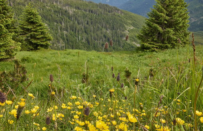 Horní Mísečky - Foto 53