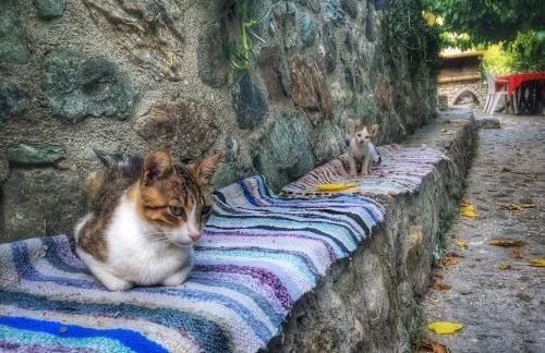 Angela's River Paradise Cottages - Foto 26