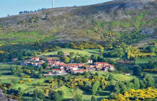 Casa Florestal, na Branda da Bouça dos Homens - Foto 33