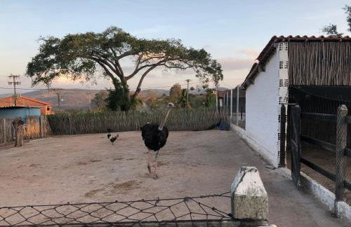 Condominio Villa Hipica - FLAT 301-Gravatá , PE Disponível SEMANA SANTA com Programação ESPECIAL! - Foto 58