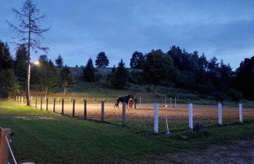 Happy Horse Sosnowa Góra - Foto 14