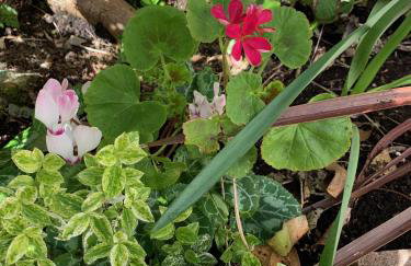 Sandsifter at 4 Trencrom Court, Carbis Bay,St Ives, Cornwall - Foto 11