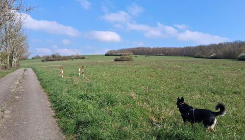 Ferienwohnung Kany - Foto 3