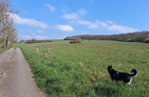 Ferienwohnung Kany - Foto 3
