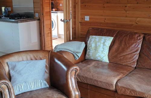 Fern Lodge - Luxury Lodge with steamroom in Perthshire - Photo 8