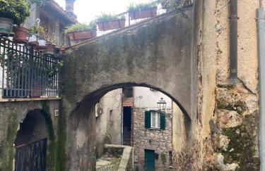 La Casa Dei Fiori - Foto 3