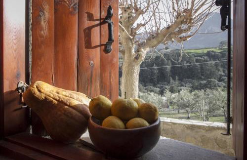 Kallimento-Dimitra - Foto 22