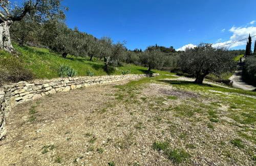 Agriturismo Tassinaia - Foto 48