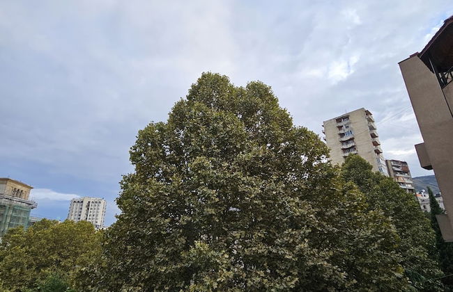 Hotel Giorgi - Foto 32