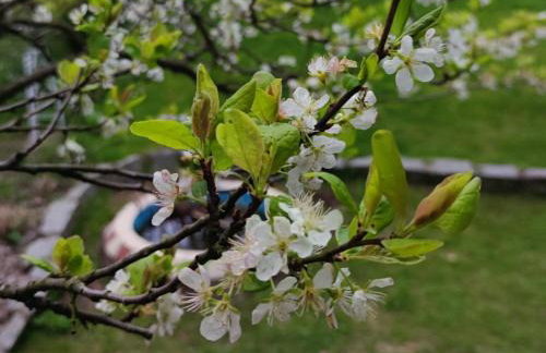 Ostoya Sulistrowiczki - Foto 14