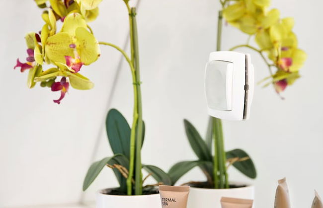 Apartments Hiša Pod Gradom - Foto 49