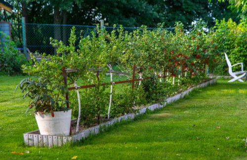 Agroturystyka Sikorki - Foto 28