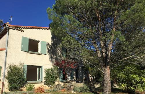 MAS DES VIGNES - View Cité de Carcassonne - Foto 1