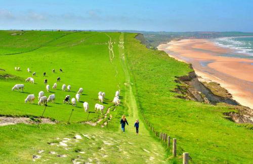 La Petite Boulonnaise Studio cosy avec cour privative - proche Nausicaa - Foto 16