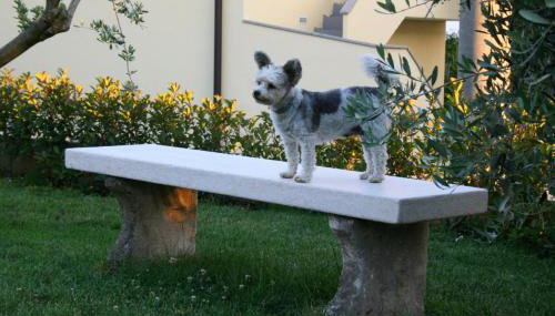 DAMJANIĆ HOLIDAY HOUSE - Foto 3