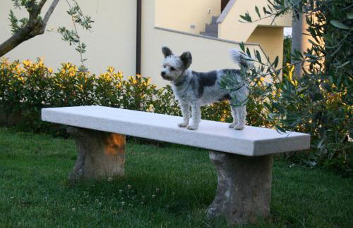 DAMJANIĆ HOLIDAY HOUSE - Foto 3