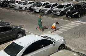 Flat Home Practice 118 - 4 - Foto 14