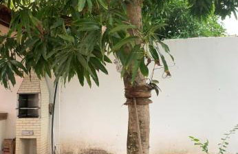 Large house with pool, barbecue and garden - Foto 27