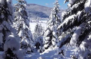 Holiday Home Kuća Ulaga - Foto 51