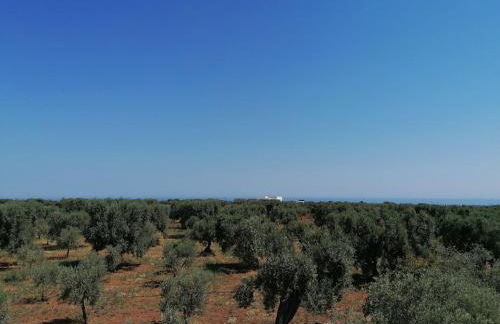 Casale Eucalipto - Foto 33