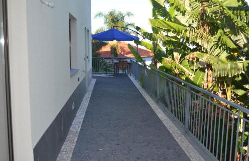 Descobrir Madeira - Foto 12