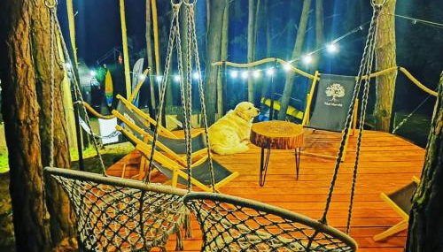 Nad Narvią - Glamp - Foto 3