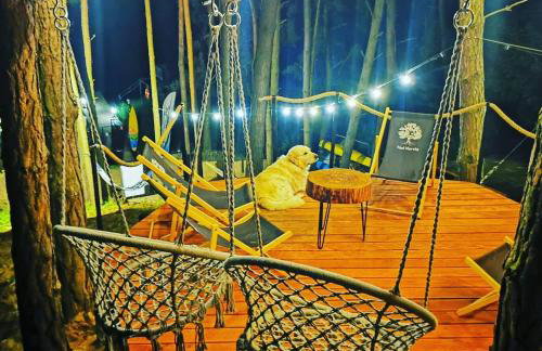 Nad Narvią - Glamp - Foto 3