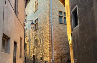 Appartement d'Artiste au cœur des ruelles médiévales - Foto 9