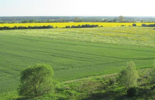 Holiday Home - Uns lütt Hüsung by Interhome - Foto 13