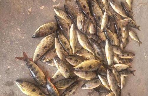 Casa verde temporada - Foto 11