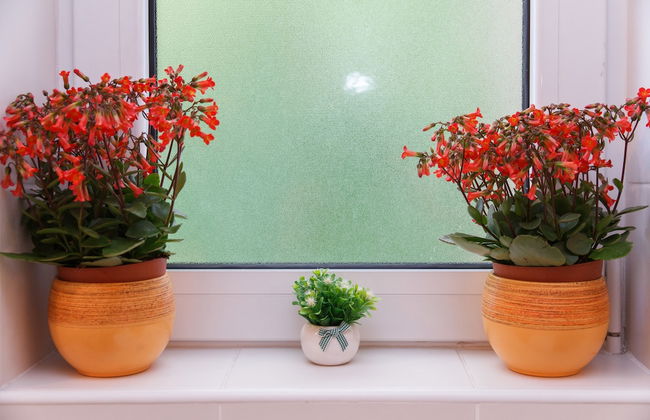 Apartment Belgrade Center - Dobrinjska - Photo 56