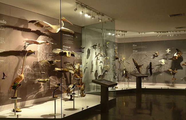 Visite des musées de Saltillo - Photo 1