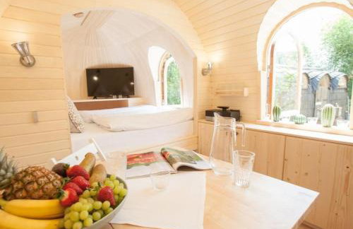 Tiny House Alpenpanorama Chalet Igluhut - Foto 20