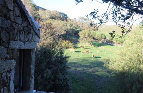 Casa do Azevim - Foto 60