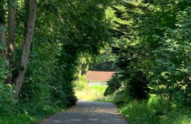 Waldmühle - Foto 40