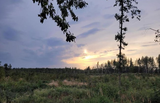 Ferienhaus in Meisdorf - Foto 38