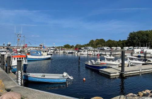 Reethaus Seeadler mit Sauna, Terrasse, Garten - Foto 15