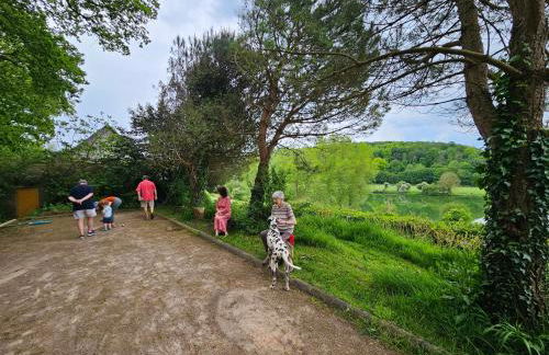 Coqslitscaux - Foto 63