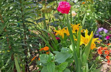 Casa Vacanze Kristina - Foto 1