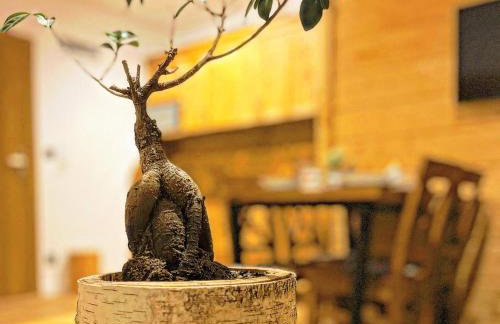 GÓRALSKIE NOWE APARTAMENTY BIAŁKA - Sauny, Bania, Sale Zabaw - w cenie - Foto 18