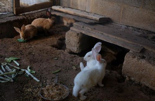 La Carcara - Foto 36