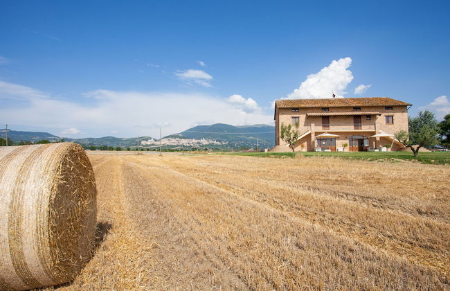 Assisium Agriturismo - Foto 23