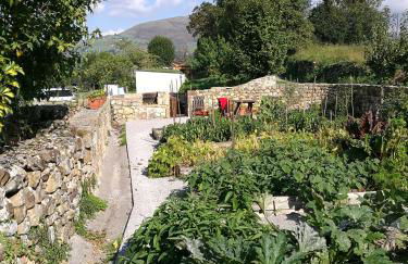 Las Azadas - Foto 38